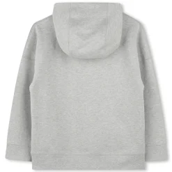 Hot ZADIG & VOLTAIRE Sweat-shirt à capuche GRIS CLAIR CHINE