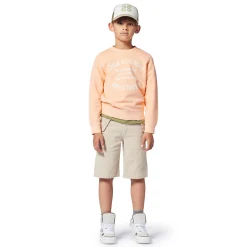 Best ZADIG & VOLTAIRE Sweat-shirt molletonné SUNSET